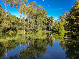 lake and trees