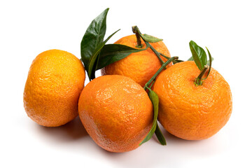 Group of clementines with leaves in closeup isolated on white background