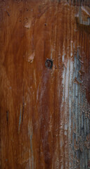 Naklejka premium Wood with old varnish. Falling off varnish. Old wood material. Old varnish wood