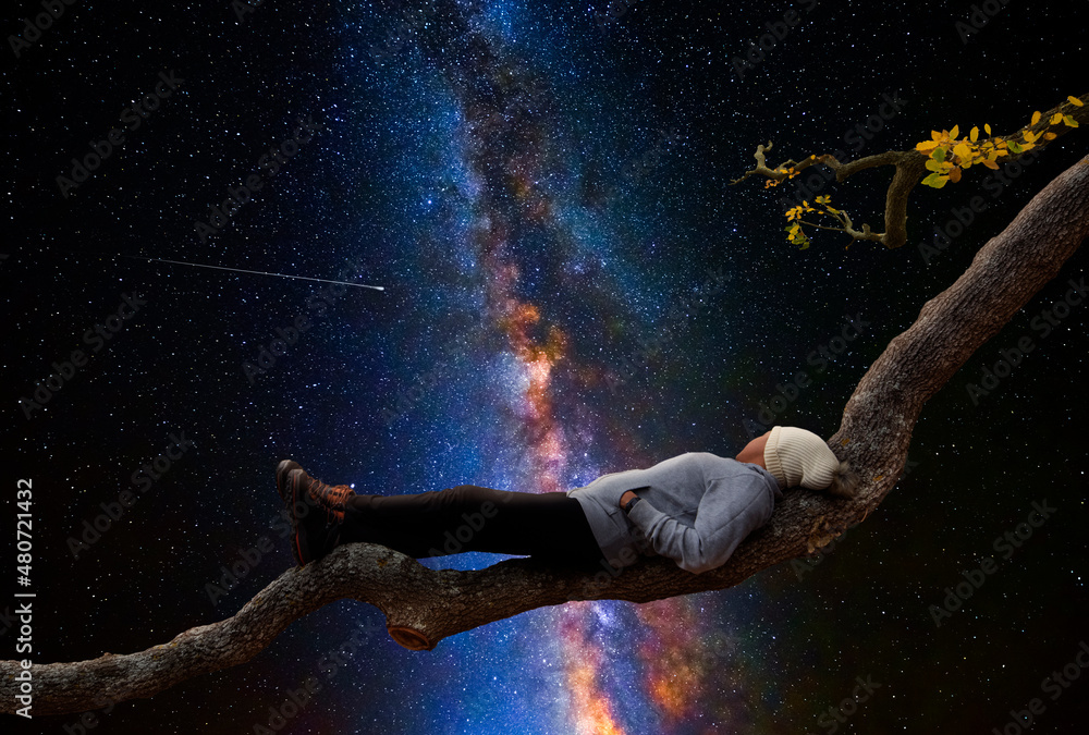 Wall mural woman on top of a branch looking at the universe