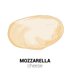Mozzarella Cow Cheese Colorful Vector Illustration