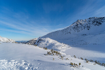 Fototapeta na wymiar Mountain winter landscape in the Tatras, mountain view covered with snow in frosty sunny weather