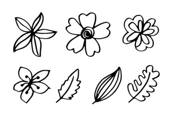 a collection of hand-drawn flower images such as bell flower, chrysanthemums, sunflowers, cotton flowers, and tropical leaves