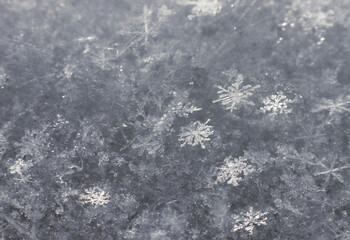 snowflake crystals close-up in natural conditions