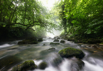 Fototapeta na wymiar a wide waterfall on a mountain river in the morning fog