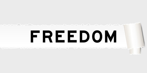  Ripped gray paper background that have word freedom under torn part