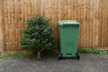 Christmas tree recycling garden waste wheelie bin - obrazy, fototapety, plakaty