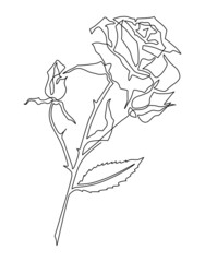 Rose flower on a stem. Continuous line drawing illustration
