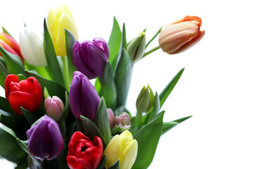 Colourful bouquet of purple, red, orange, yellow and white tulips.
