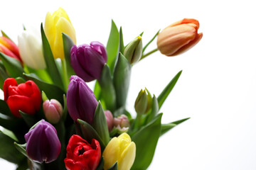 Colourful bouquet of purple, red, orange, yellow and white tulips.