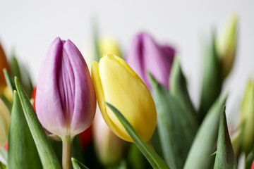 Colourful bouquet of purple, red, orange, yellow and white tulips.