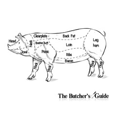 Cut of pork set Butcher diagram Vintage hand-drawn graphic Vector illustration on white