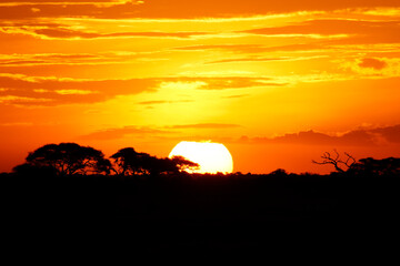 Sunset over Amboseli. Big Descending Sun Plate with Burning Orange Sky. Amboseli, Kenya