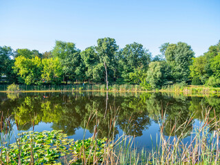 Obraz na płótnie Canvas Scenic view with Comana lake part of Comana Natural Park, located near Bucharest, Romania.