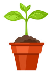 Illustration of sprout in pot. Indoor or garden plant.