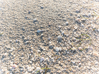 pebbles on the beach