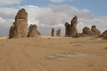 in the kingdom of saudi arabia