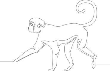 Simple continuous line draw of Chinese New Year zodiac, monkey zodiac. Simple hand drawn Asian elements with craft style on background brochure, banner, invitation card, vector illustration