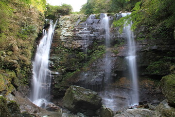 Fototapeta premium 機滝