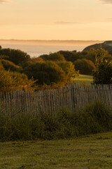 Fototapeta na wymiar Green garden with wooden fence and sea views. Sunset