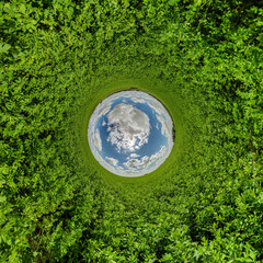 blue sphere little planet inside green grass round frame background.