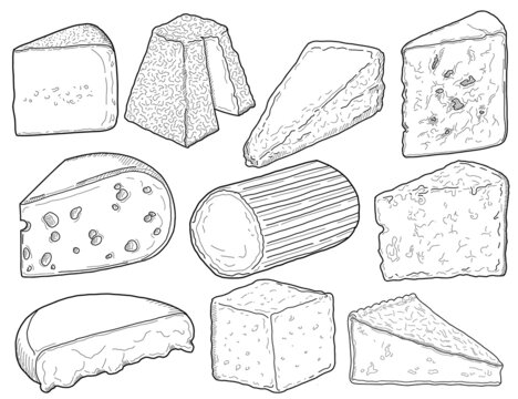 Cheese Types Collection Black and White Hand Drawn Illustration Set
