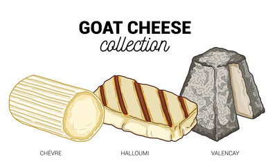 Goat Cheese Types Collection Colorful Hand Drawn Illustration Set - obrazy, fototapety, plakaty