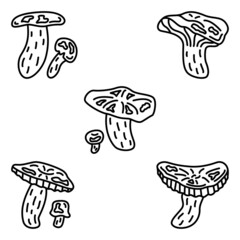 Russule mushroom, an edible forest mushroom. Set of vector icons, outline, isolated