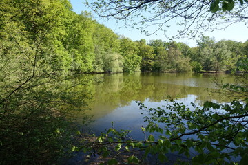 Maunzenweiher bei Frankfurt