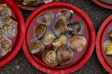 Shellfish displayed in a traditional market