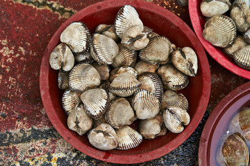 Cockles on display in a traditional market