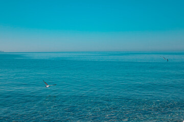 Naklejka premium Seaside shore