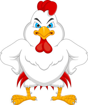 angry chicken cartoon on white background