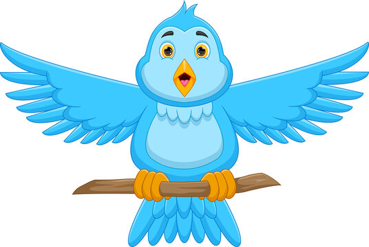 cartoon cute blue bird on white background