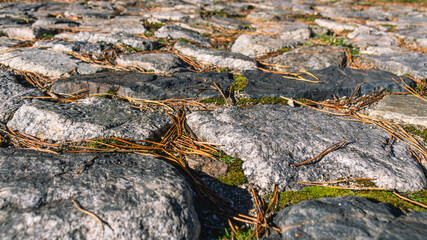 Background of stones laid on the road. Cobblestone pavement. Stone pavement and fallen dry pine needles.