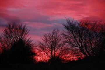 Amanecer de cielo rojo rosa con siluetas de arboles camino del monte Gorbea 1482m Vizcaya Pais Vasco