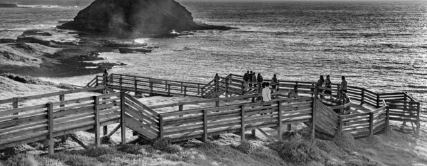 Round Island in front of Phillip Island, Australia.
