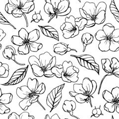 Floral background Vector seamless pattern flowers of apples, black and white elements. Hand drawn illustration for design packaging, textile, wallpaper, fabric