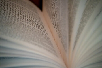 Open book pages close up