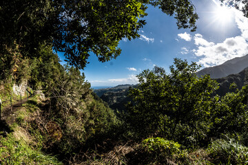 Madeira - Levada do Rei