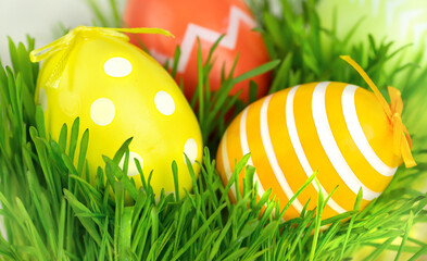 Easter eggs yellow, red and orange lie on the green grass. Easter. Spring