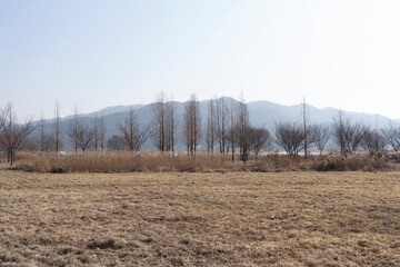 Quiet park scenery in winter