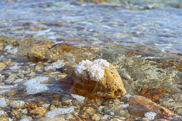 Close up of salt background. Natural salt. Dead Sea salt mineral natural formations. Salt crystals from Dead sea. View of Dead Sea coastline. Texture of Dead sea. Salty seashore rocks