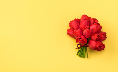 Banner with a bouquet of beautiful red tulips with ribbon, top view with copy space. Festive background with flowers