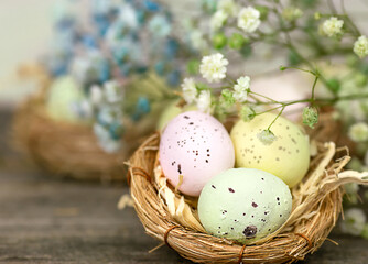 Small quail Easter eggs in a nest of straw on a wooden table. The background is pale blue gypsophila flowers