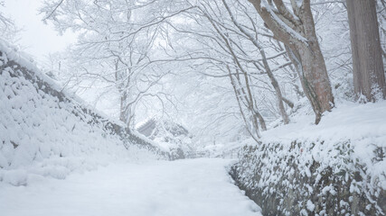 滋賀県 百済寺 雪景色