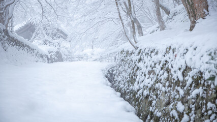 滋賀県 百済寺 雪景色