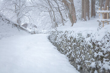 滋賀県 百済寺 雪景色