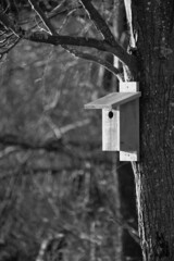 Merry's Birdhouse
