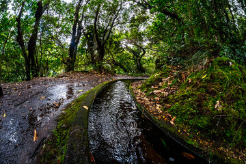 Madeira - Levada do Rei